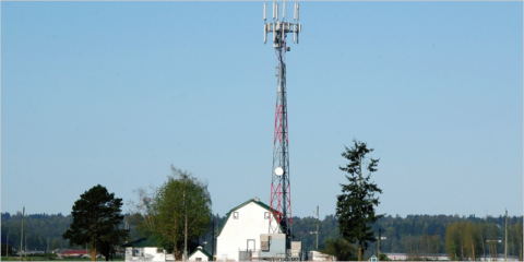 Abierta una consulta pública sobre las bases reguladoras del Programa Unico – Demanda Rural