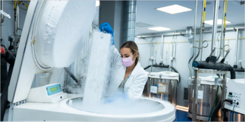 El Ayuntamiento de Barcelona anuncia ayudas para iniciativas de investigación sobre retos de ciudad