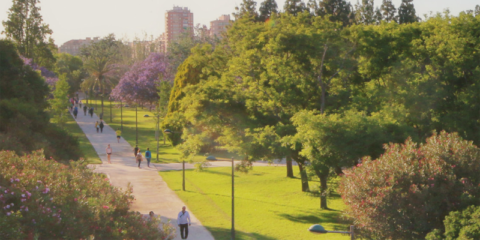 El Ayuntamiento de Valencia presenta el Plan de Sostenibilidad Turística 2022-2024