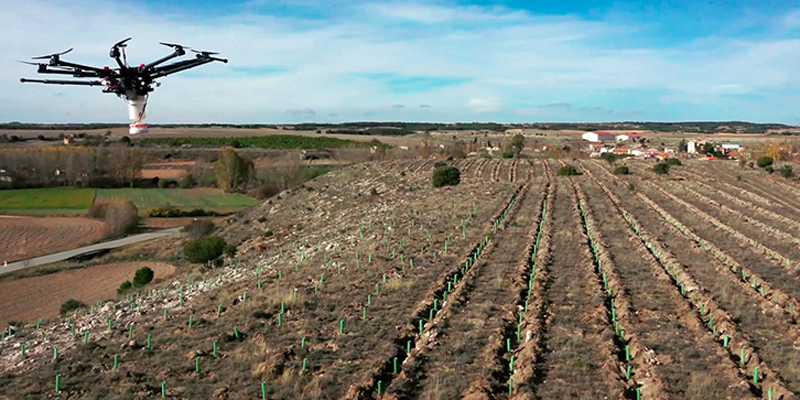 Plantones, drones y semillas inteligentes para reforestar cuatro municipios rurales