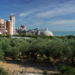 La planta de Cemex en Alcanar vuelve a conseguir el certificado de gestión ambiental EMAS