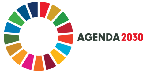 Ayudas por valor de 6,6 millones de euros para impulsar la Agenda 2030 en las entidades locales