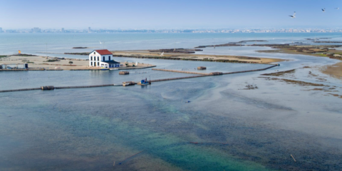 Licitación de una red de boyas y sensores para monitorizar el estado ambiental del Mar Menor