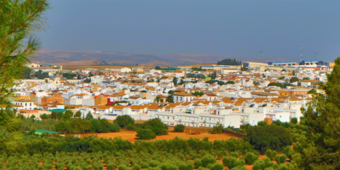 El municipio de Montellano adjudica a Sitelec el contrato para la renovación del alumbrado público 