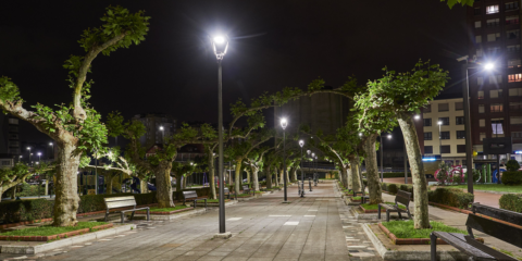 Alfredo Brugos, CEO de Sitelec