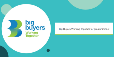 Encuesta del proyecto europeo BBWT para identificar necesidades de contratación pública