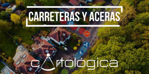 Descripción del estado del pavimento de Cartológica