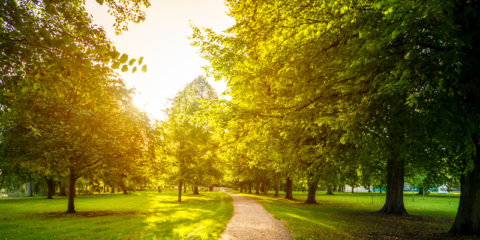 Investigadores de la UPV proponen un nuevo sistema para programar el riego de forma eficiente