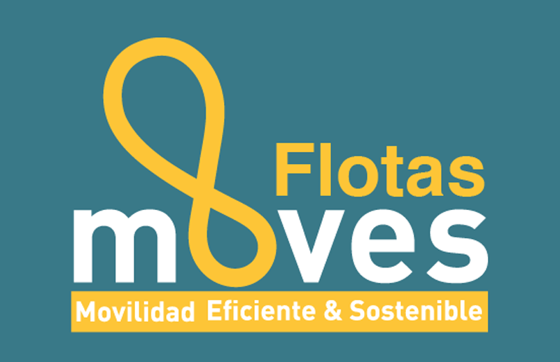 resolución definitiva de la segunda convocatoria de Moves Flotas 