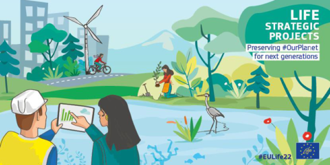 Inversión de más de 233 millones en 12 proyectos europeos LIFE de medio ambiente y clima