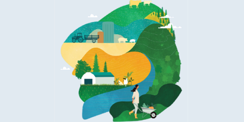 Galicia destina ayudas de 3 millones a proyectos de modernización y mejora de servicios básicos locales