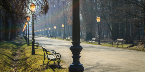 Dos estudios de modelización evalúan el impacto de medidas para mejorar la calidad del aire urbano