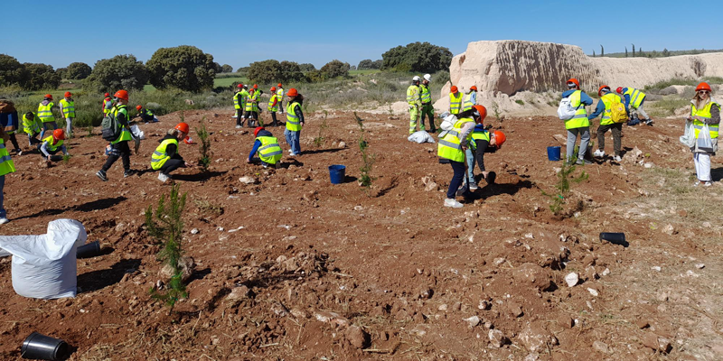 Más de 40 alumnos participan en la campaña de plantación de árboles de Cemex en Valdilecha