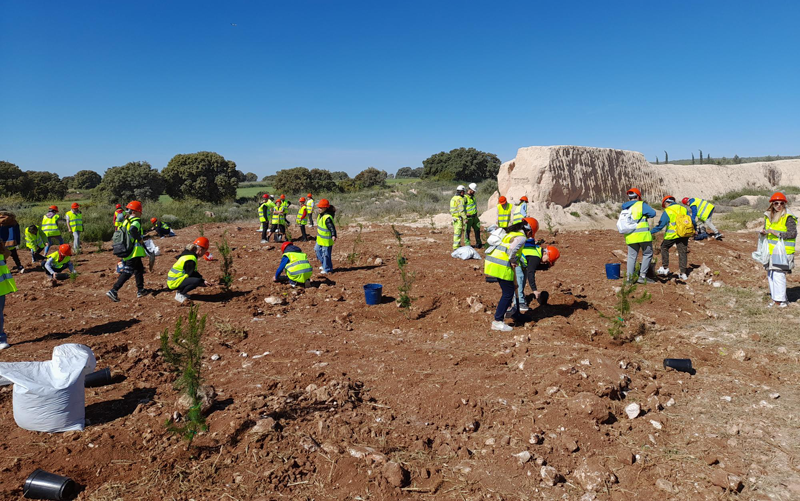 campaña de plantación de árboles en la cantera de Cemex en Valdilecha