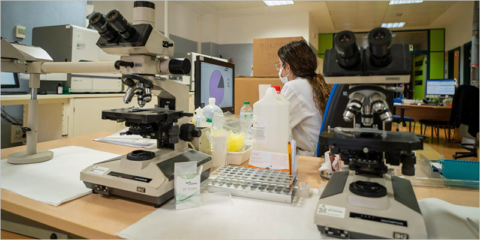 Publicadas las bases de las ayudas para proyectos andaluces de I+D en transición ecológica y digital