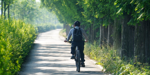La Estrategia Gallega de Movilidad promueve la sostenibilidad con el apoyo de la innovación tecnológica
