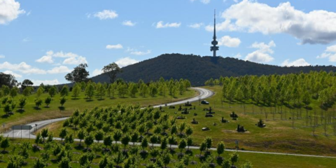 La resolución provisional de Unico 5G Redes Activas lleva la cobertura 5G a 7.330 municipios pequeños