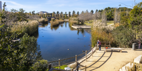 El Barómetro de la Transformación Ecológica muestra una elevada conciencia climática en España