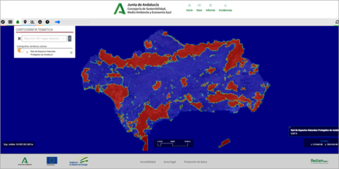 Nuevo visor online con información forestal para ayudar a combatir el cambio climático en Andalucía