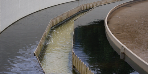 Adjudicados 300 millones de euros para la mejora de la digitalización del ciclo del agua urbana