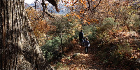 Nuevas herramientas digitales para potenciar el senderismo en espacios naturales de Andalucía