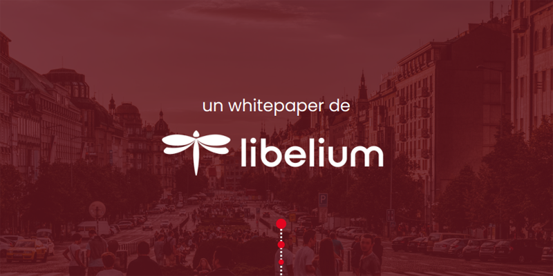 Whitepaper de Libelium sobre transformación digital en destinos turísticos inteligentes
