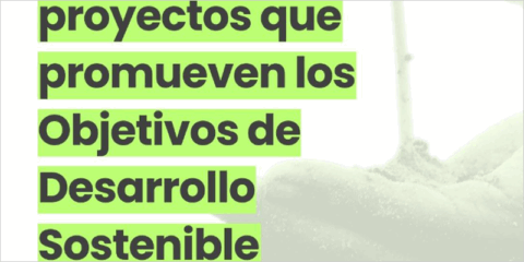 Más de 16 millones en ayudas para entidades locales y sociales que promueven los ODS
