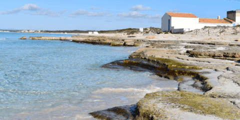 El gemelo digital del litoral balear contribuirá a la toma de decisiones basadas en datos