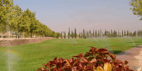 En marcha un proyecto piloto de riego inteligente de parques y jardines en Alcorcón
