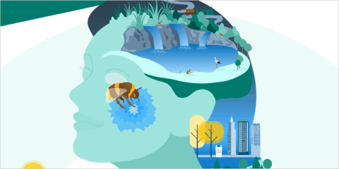 La AEMA analiza en un informe el estado actual del medio ambiente, clima y sostenibilidad de Europa