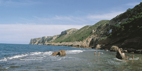 La Generalitat Valenciana estrena una aplicación móvil para monitorizar el estado de las playas