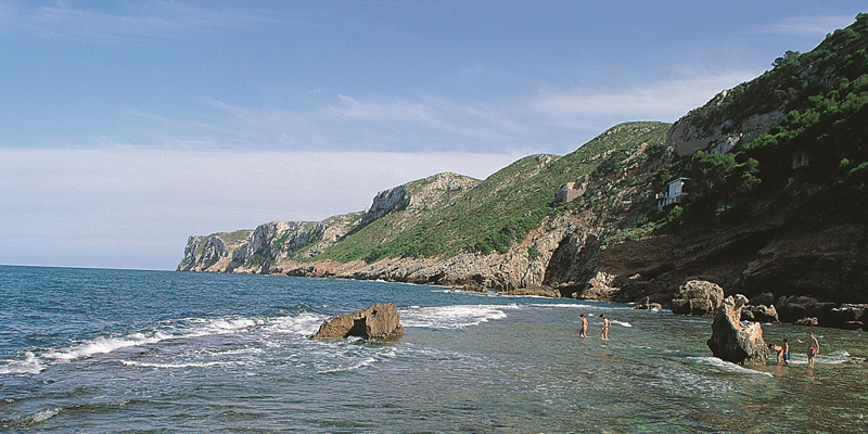 La Generalitat Valenciana estrena una aplicación móvil para monitorizar el estado de las playas