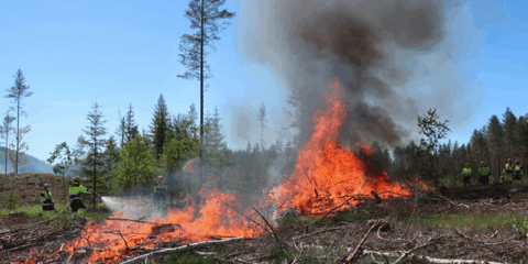 El proyecto europeo Treeads valida tecnologías avanzadas para prevenir, detectar y gestionar incendios forestales