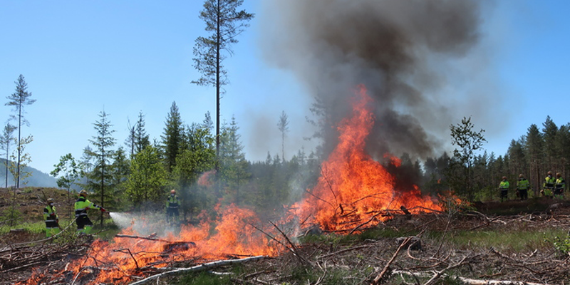 El proyecto europeo Treeads valida tecnologías avanzadas para prevenir, detectar y gestionar incendios forestales