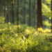 Andalucía impulsa una plataforma para analizar datos ambientales, territoriales y espaciales