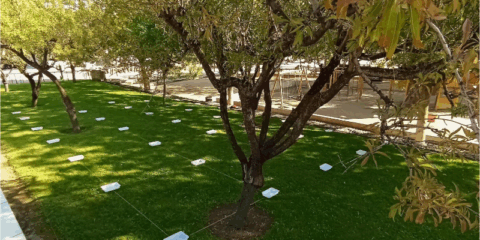 Encuesta del proyecto DigiWaGu para conocer la opinión sobre las zonas verdes de Huesca y Teruel