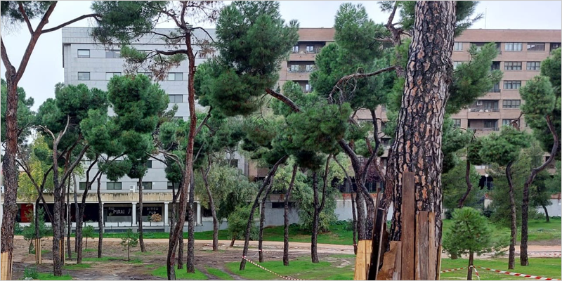 Madrid incorporará la inteligencia artificial a los trabajos de conservación de sus zonas verdes