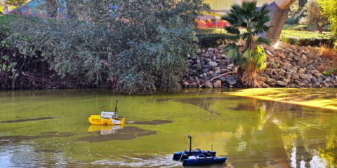 Una flota de drones acuáticos con IA refuerzan la monitorización ambiental de ríos y lagos en Sevilla