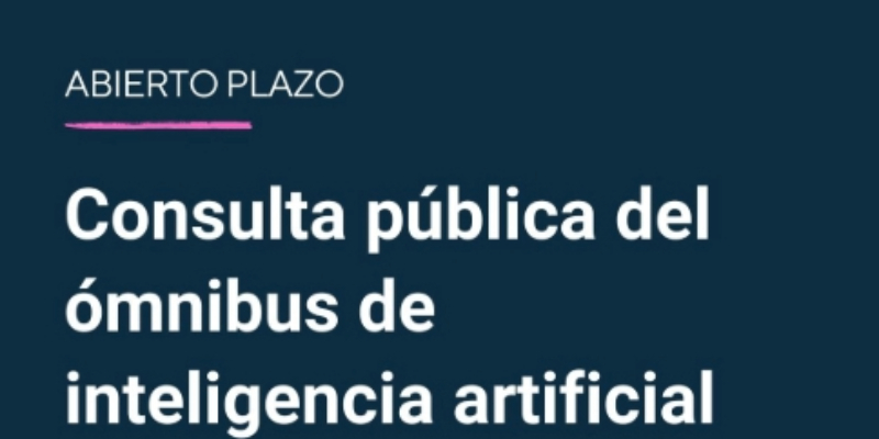 consulta pública