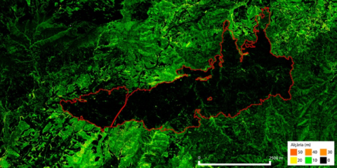Investigadores de Barcelona crean un método para medir con precisión la altura de árboles y edificios