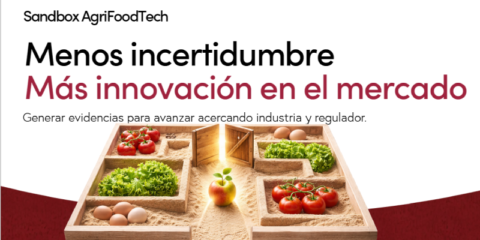 Sandbox AgriFoodTech lanza su segunda convocatoria para impulsar la innovación agroalimentaria