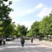 Murcia será ciudad demostradora del proyecto StreetRevival para rediseñar el espacio público