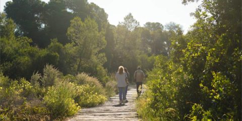 El proyecto Valencia-BioSoundScape monitoriza la biodiversidad urbana con IA a través del paisaje sonoro