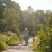 El proyecto Valencia-BioSoundScape monitoriza la biodiversidad urbana con IA a través del paisaje sonoro