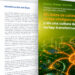 El informe El Reto 2026 de enerTIC analiza cómo mejorar la gestión urbana con datos y tecnología