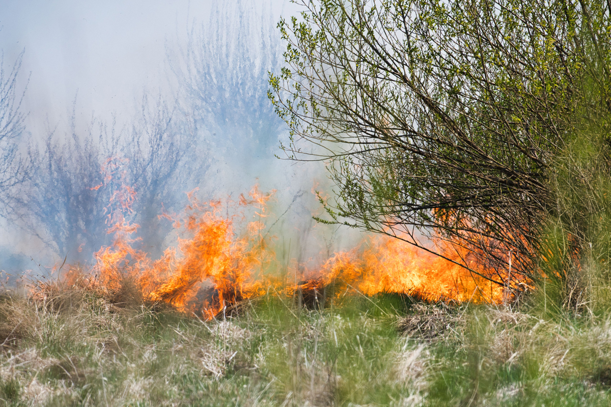 Un nuevo informe interactivo permite consultar la situación de los incendios forestales en España