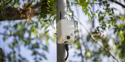 Madrid monitoriza la biodiversidad urbana con 15 sensores acústicos, IA y un gemelo digital