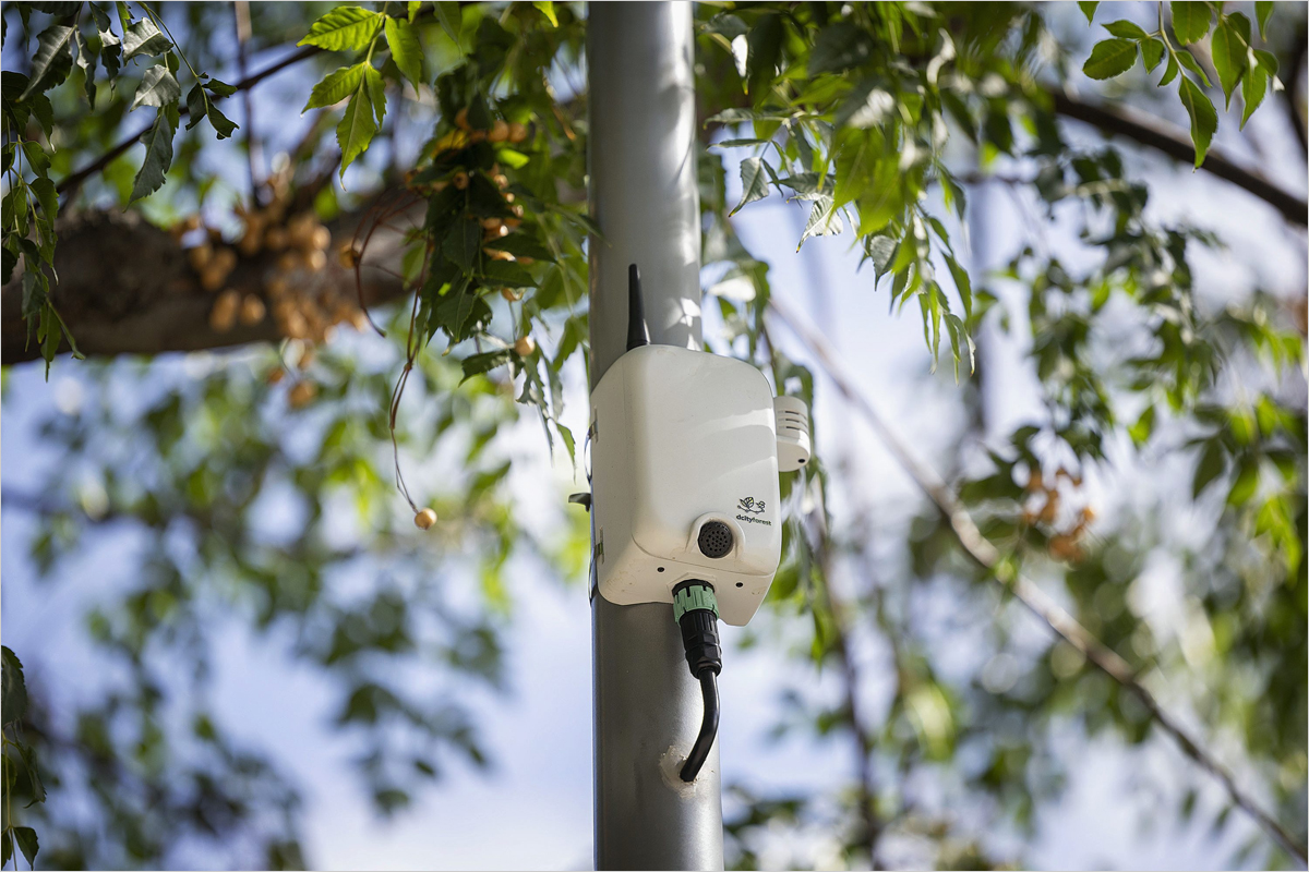 Madrid monitoriza la biodiversidad urbana con 15 sensores acústicos, inteligencia artificial y un gemelo digital