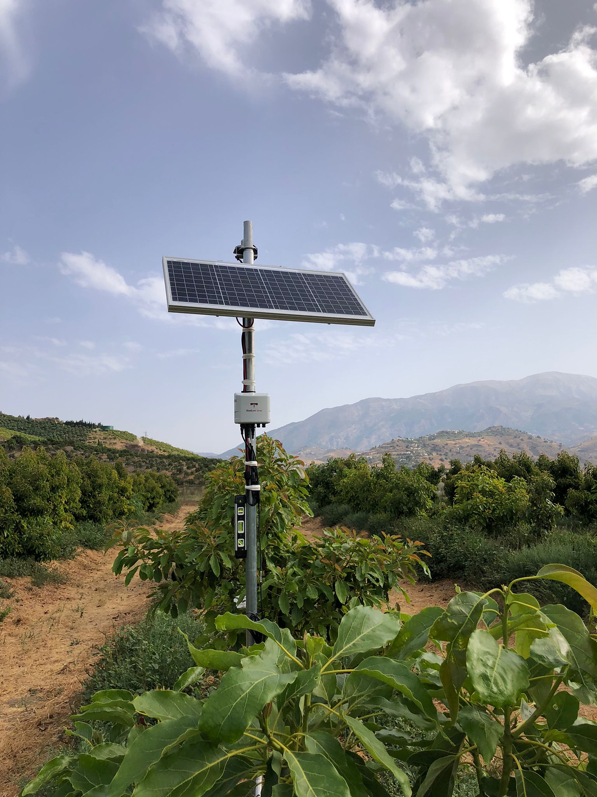 Libelium One con LoRaWAN